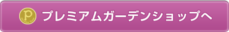 タネを買いに行く