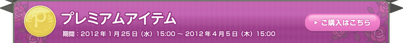 期間：2011年1月25日（水）15:00 ～ 2012年4月5日（木）15:00