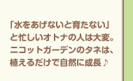 水をあげないと育たない」と忙しいオトナの人は大変。ニコットガーデンのタネは、植えるだけで自然に成長